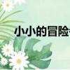 小小的冒險者（關于小小的冒險者簡介）