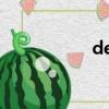 developepesex公司