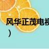 風華正茂電視劇（關于風華正茂電視劇的簡介）