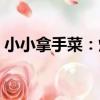 小小拿手菜：炸（關于小小拿手菜：炸簡介）