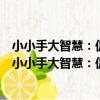 小小手大智慧：促進兒童精細動作技能的策略與活動（關于小小手大智慧：促進兒童精細動作技能的策略與活動簡介）