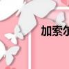 加索爾（關于加索爾的簡介）