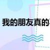 我的朋友真的不多小說（我的朋友很少小說）
