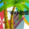 小小的婚禮（關于小小的婚禮簡介）
