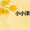 小小澤翊（關于小小澤翊簡介）