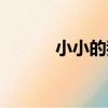 小小的我（關于小小的我簡介）