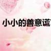 小小的善意謊言（關于小小的善意謊言簡介）