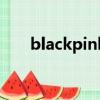 blackpink（關于blackpink的簡介）