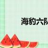 海豹六隊（關于海豹六隊的簡介）