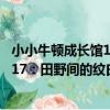 小小牛頓成長館17：田野間的紋白蝶（關于小小牛頓成長館17：田野間的紋白蝶簡介）