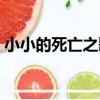 小小的死亡之歌（關于小小的死亡之歌簡介）