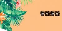曹璐曹璐