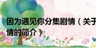 因為遇見你分集劇情(關于因為遇見你分集劇情的簡介)