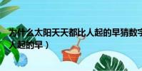 為什么太陽天天都比人起的早猜數字(為什么太陽天天都比人起的早)