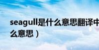seagull是什么意思翻譯中文(seagull是什么意思)