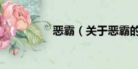 惡霸(關于惡霸的簡介)