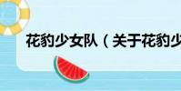 花豹少女隊(關于花豹少女隊的簡介)