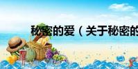 秘密的愛(關于秘密的愛的簡介)
