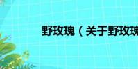 野玫瑰(關于野玫瑰的簡介)