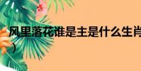 風里落花誰是主是什么生肖(風里落花誰是主)