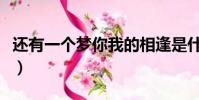 還有一個夢你我的相逢是什么歌(還有一個夢)