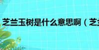 芝蘭玉樹是什么意思啊(芝蘭玉樹什么意思)
