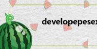 developepesex公司