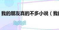 我的朋友真的不多小說(我的朋友很少小說)