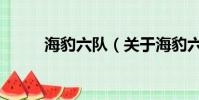 海豹六隊(關于海豹六隊的簡介)