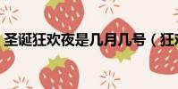 圣誕狂歡夜是幾月幾號(狂歡夜是幾月幾號)