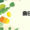 曲徑（關于曲徑的簡介）