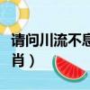 請問川流不息是什么生肖（川流不息是什么生肖）