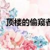 頂樓的偷窺者（關于頂樓的偷窺者的簡介）