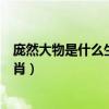 龐然大物是什么生肖?最佳答案是什么?（龐然大物是什么生肖）