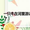一只牛在河里游泳卻不叫（哞哞叫的牛一下水游泳后就不叫了）