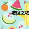 被竊之物 （關于被竊之物 的簡介）