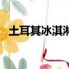 土耳其冰淇淋（關于土耳其冰淇淋的簡介）