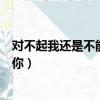 對不起我還是不能忘記你是什么歌（對不起我還是不能忘記你）