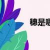穗是哪里的教程（穗是哪里）