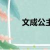 文成公主（關于文成公主的簡介）