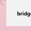 bridge（關于bridge的簡介）