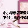 小小葷素店吃遍天下49：豬肉佳肴（關于小小葷素店吃遍天下49：豬肉佳肴簡介）