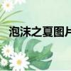 泡沫之夏圖片（關于泡沫之夏圖片的簡介）