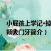 小屁孩上學記·掉了一顆大門牙（關于小屁孩上學記·掉了一顆大門牙簡介）