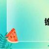 錐蝽蟲圖片（錐蝽）
