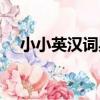 小小英漢詞典（關于小小英漢詞典簡介）