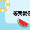 等我愛你（關于等我愛你的簡介）