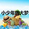 小少年的大夢想（關于小少年的大夢想簡介）