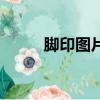 腳印圖片（關于腳印圖片的簡介）