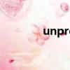 unprofessional是什么意思